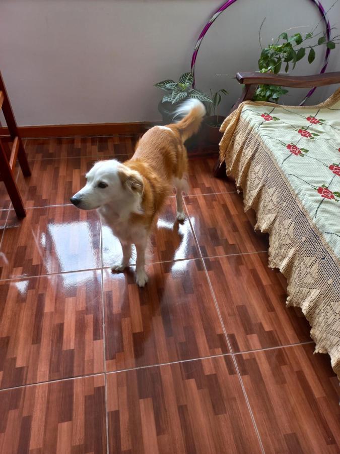 Quarto Individual Na Ary Parreiras Niterói Exteriér fotografie